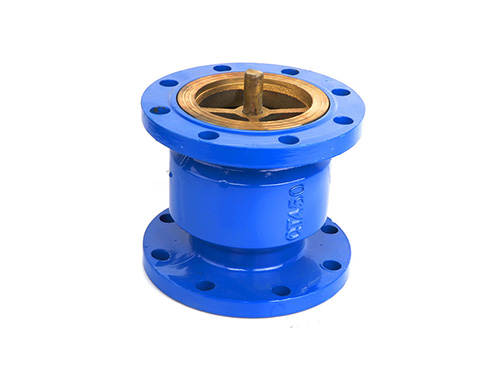 Silencing Check Valve