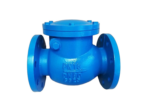 Swing Check Valve