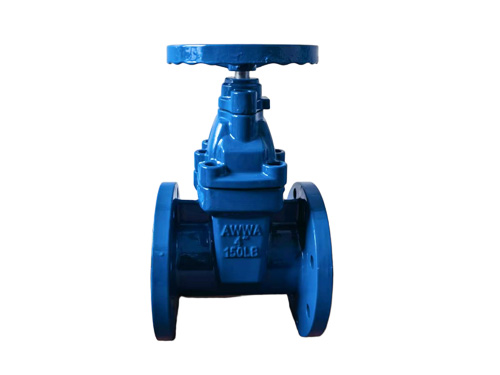 ANSI Gate Valve