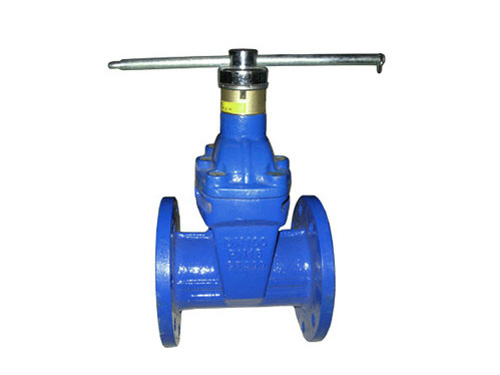 Magnetic Lock Resilient Seated Gate Valve