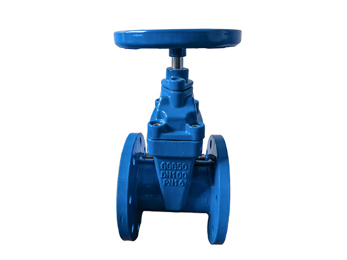 DIN Standard Gate Valve