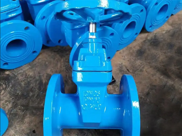 Precautions for Installation Direction of Resilient Seated Gate Valve